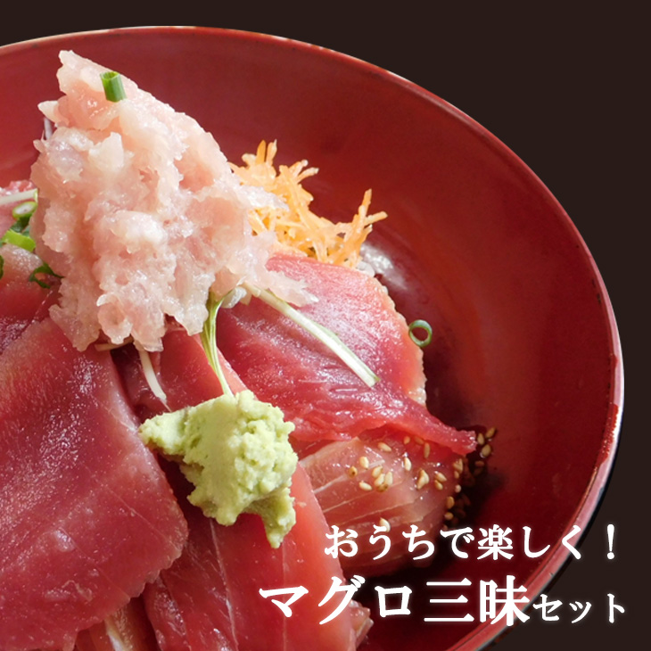 おうちで楽しく マグロ三昧セット 送料無料 Izm 冷凍 本まぐろ 赤身 中トロ ネギトロ 産地直送 お取り寄せ 北海道物産 ギフト通販 ｂｅ ｈａｐｐｙ